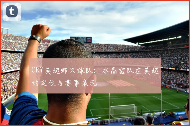 CRY英超哪只球队：水晶宫队在英超的定位与赛事表现