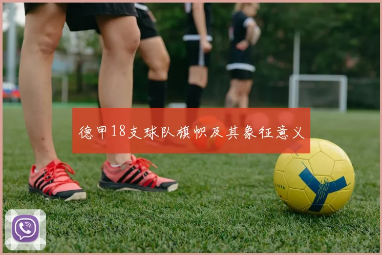 德甲18支球队旗帜及其象征意义