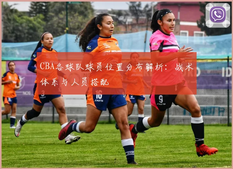CBA各球队球员位置分布解析：战术体系与人员搭配
